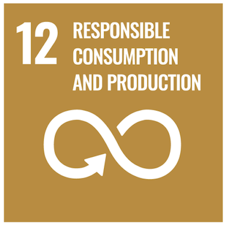 Responsible consumption and production